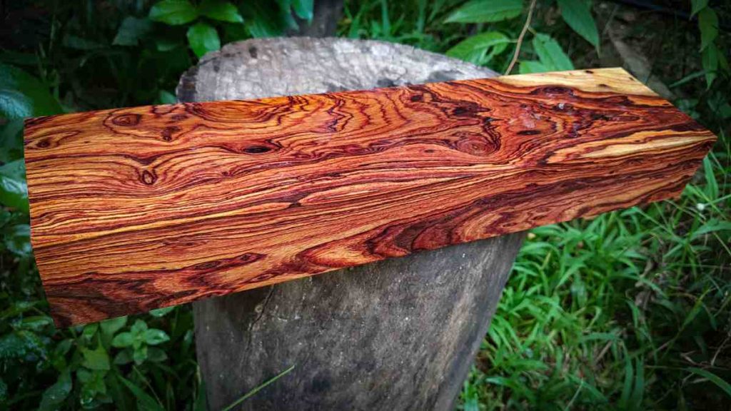 Kayu Termahal di Dunia