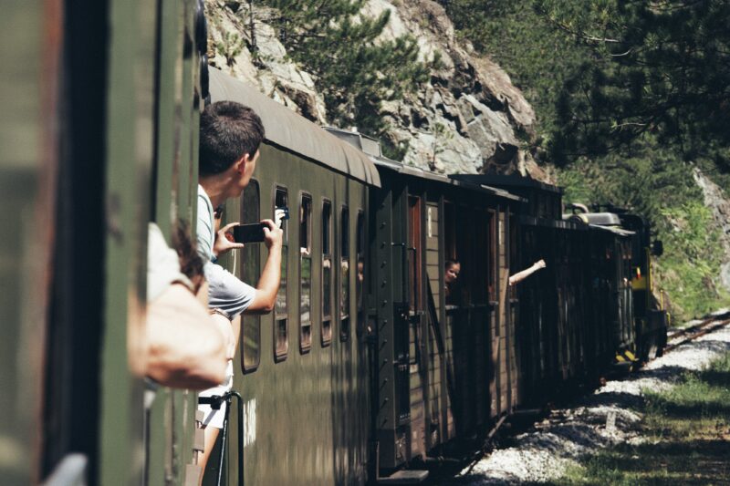 Touring the Redwood Valley Railway: What to Expect on Your Ride